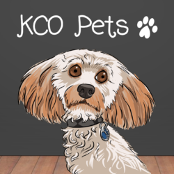 KCO Pets